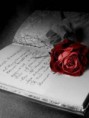 /album/galeria-de-fotos/a44-jpg/